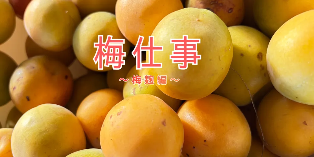 腸活×美肌の最強コンビ、はじめました。